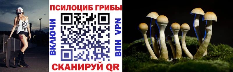 наркошоп  MEGA   Псилоцибиновые грибы ЛСД  Юхнов 